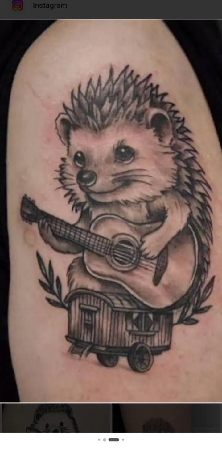 @coco la voyageuse 🦔🦔💔