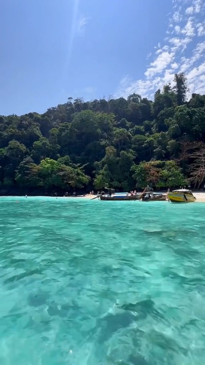 @Jetty Kun