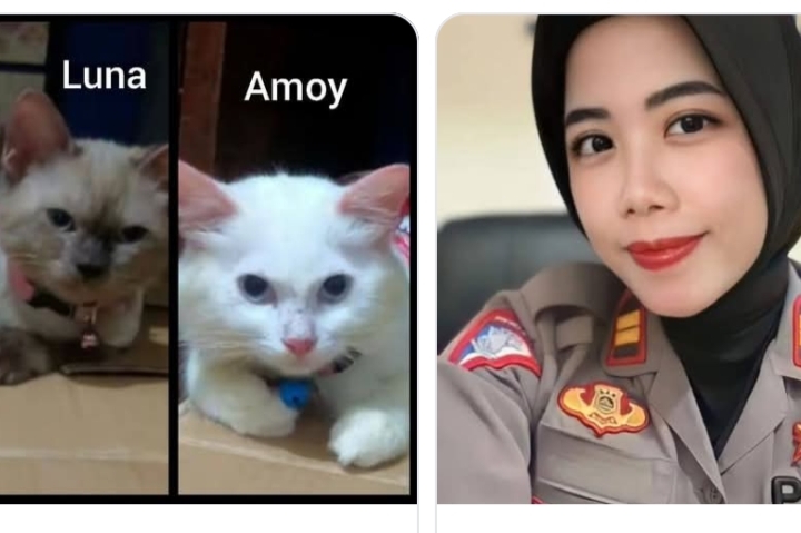 @Faiznya defvi