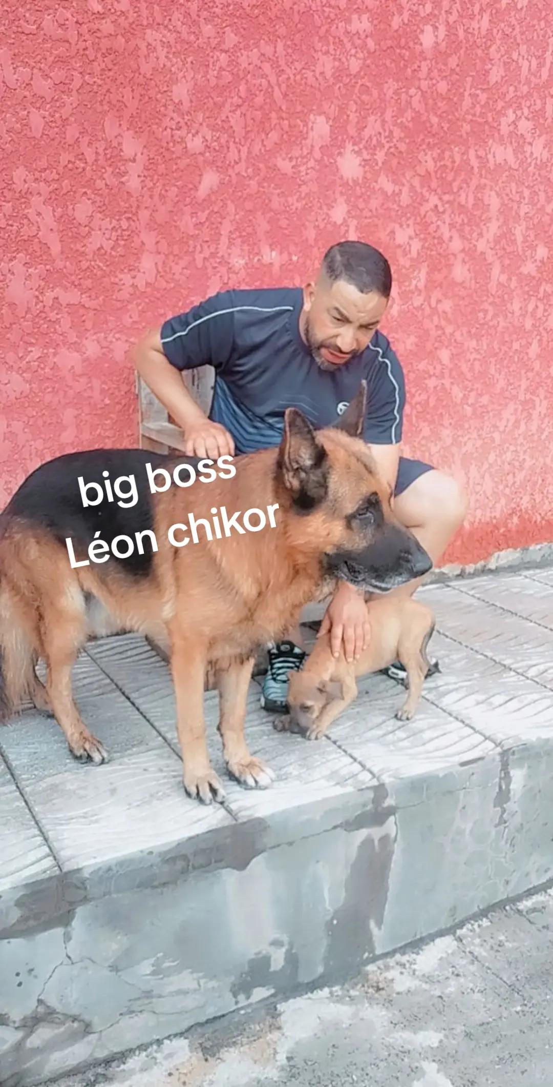 @big boss