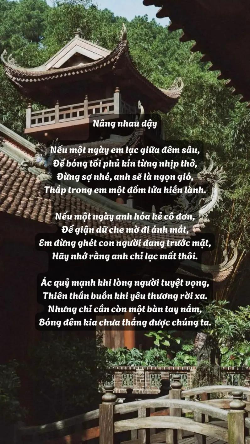 @hạt giống tâm hồn🌱
