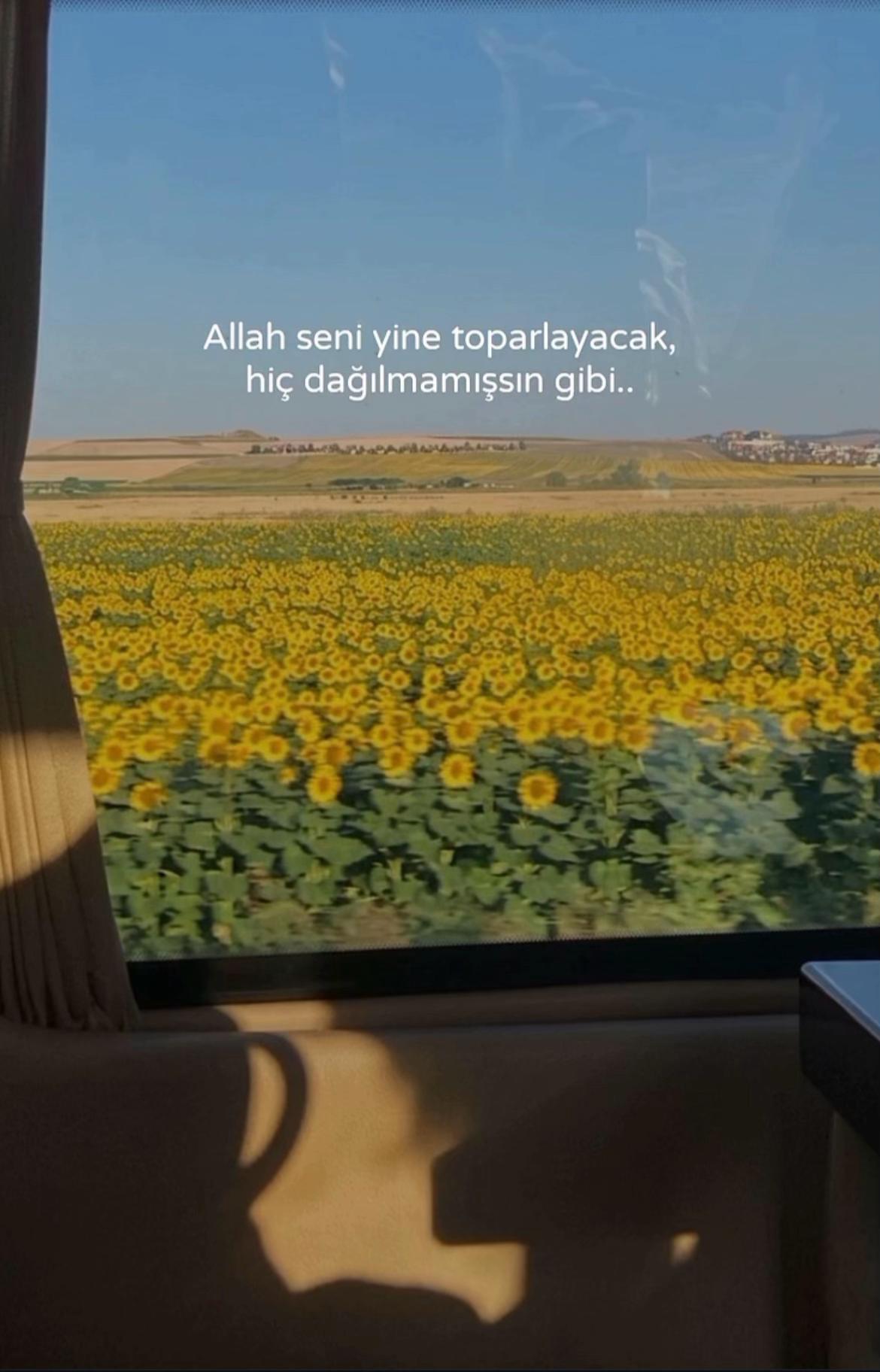 @filiz polat