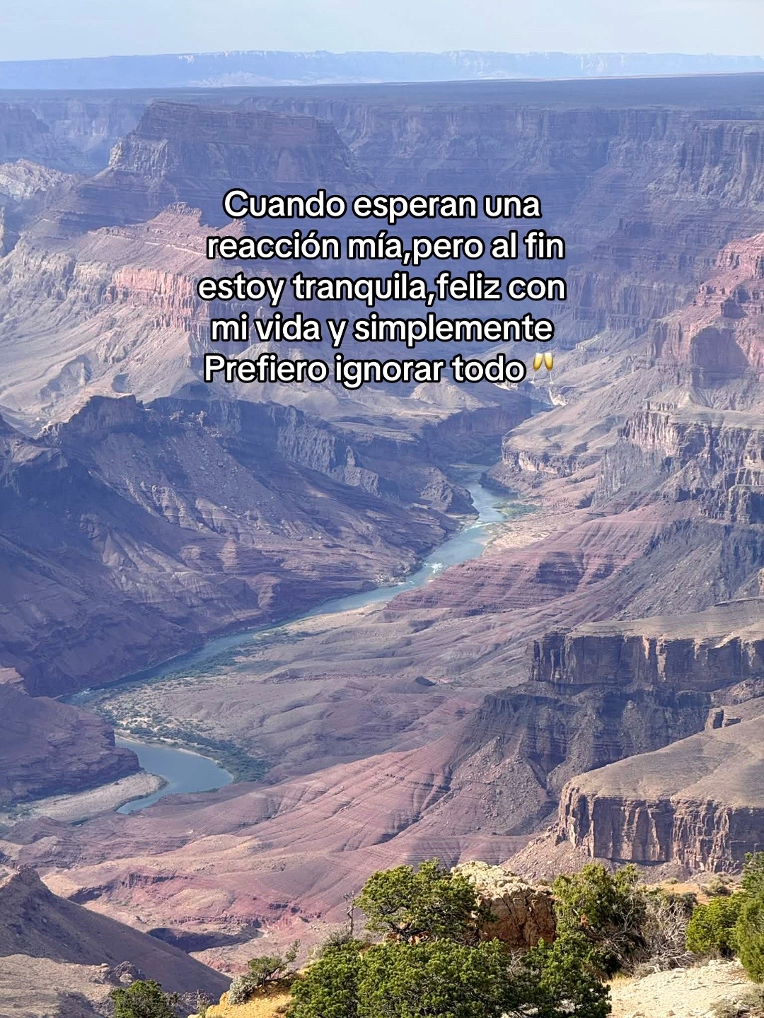 @Alexa_sts 593🇪🇨🤍