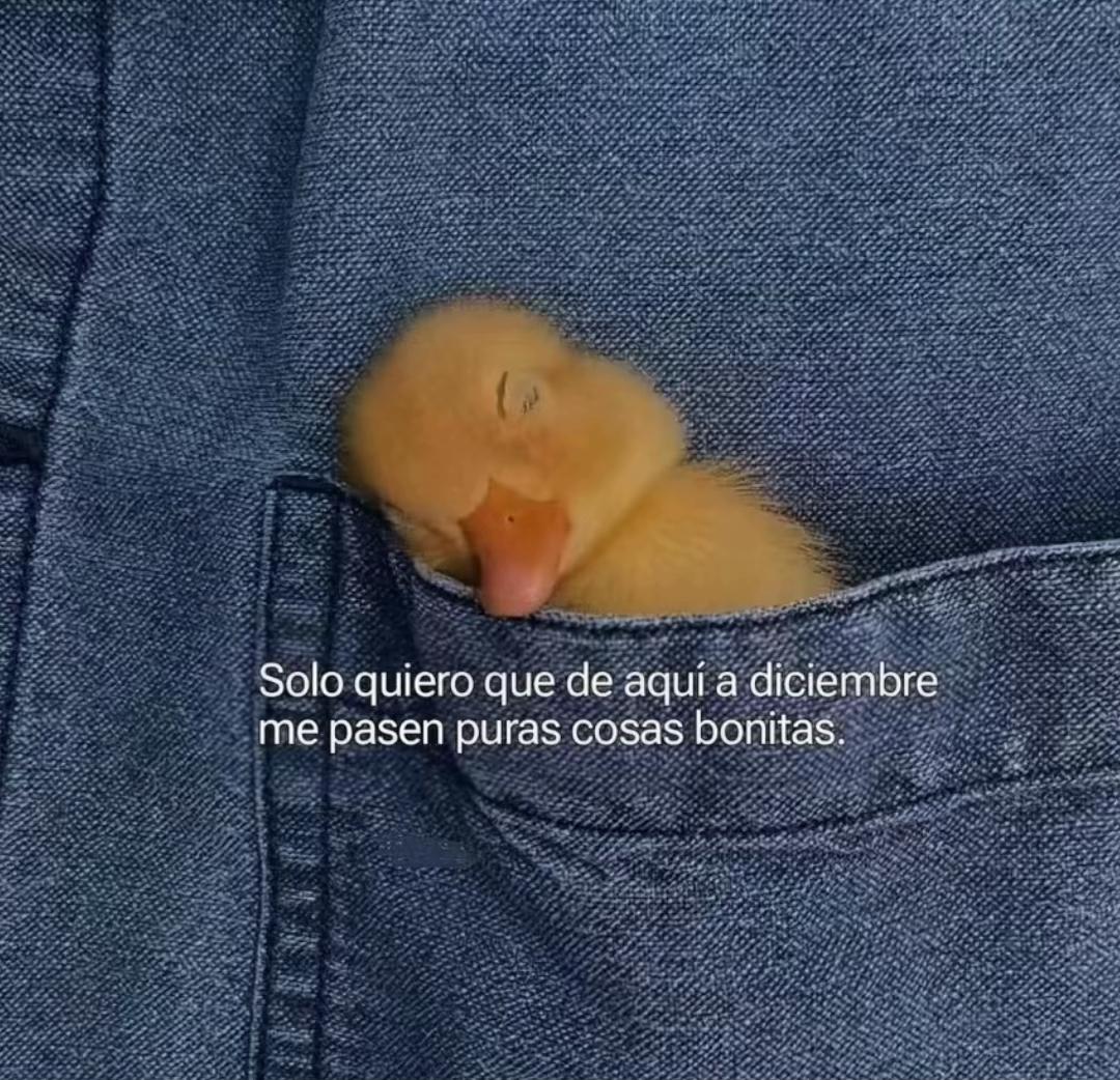 @⛅️🩷🧸⭐️Sandy Ugalde⭐️🧸🩷⛅️