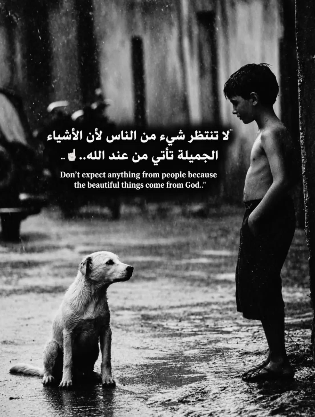 @𓆩🐺𝑾𝒂𝒍𝒆𝒅 𝑩𝒆𝒍𝒂𝒊𝒅𓆪