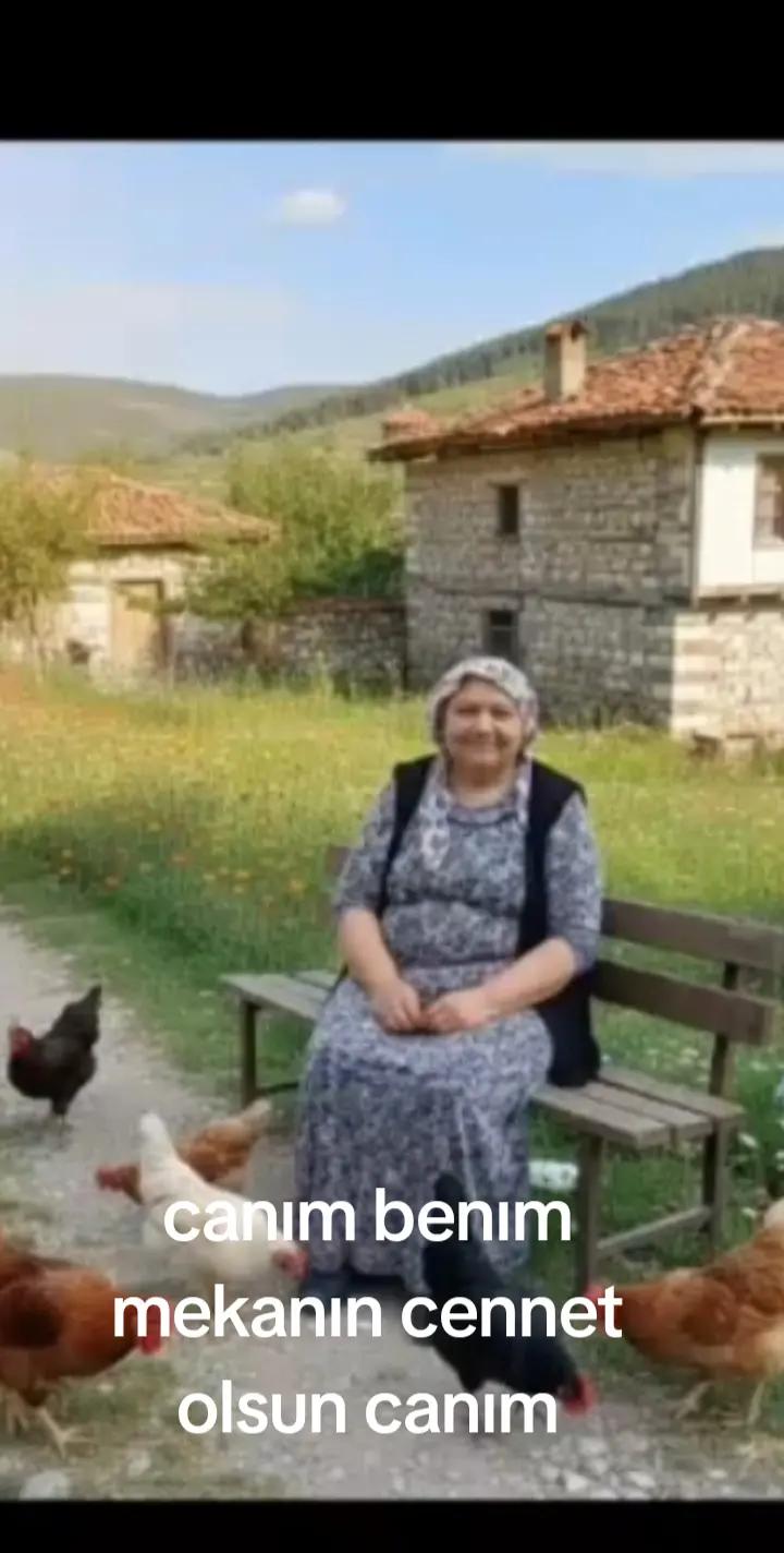 @senemhira