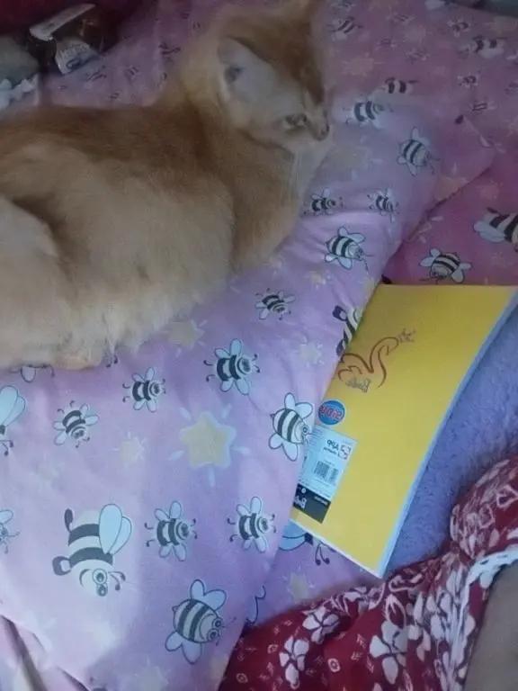 @Cewe'_Jawa 🥰