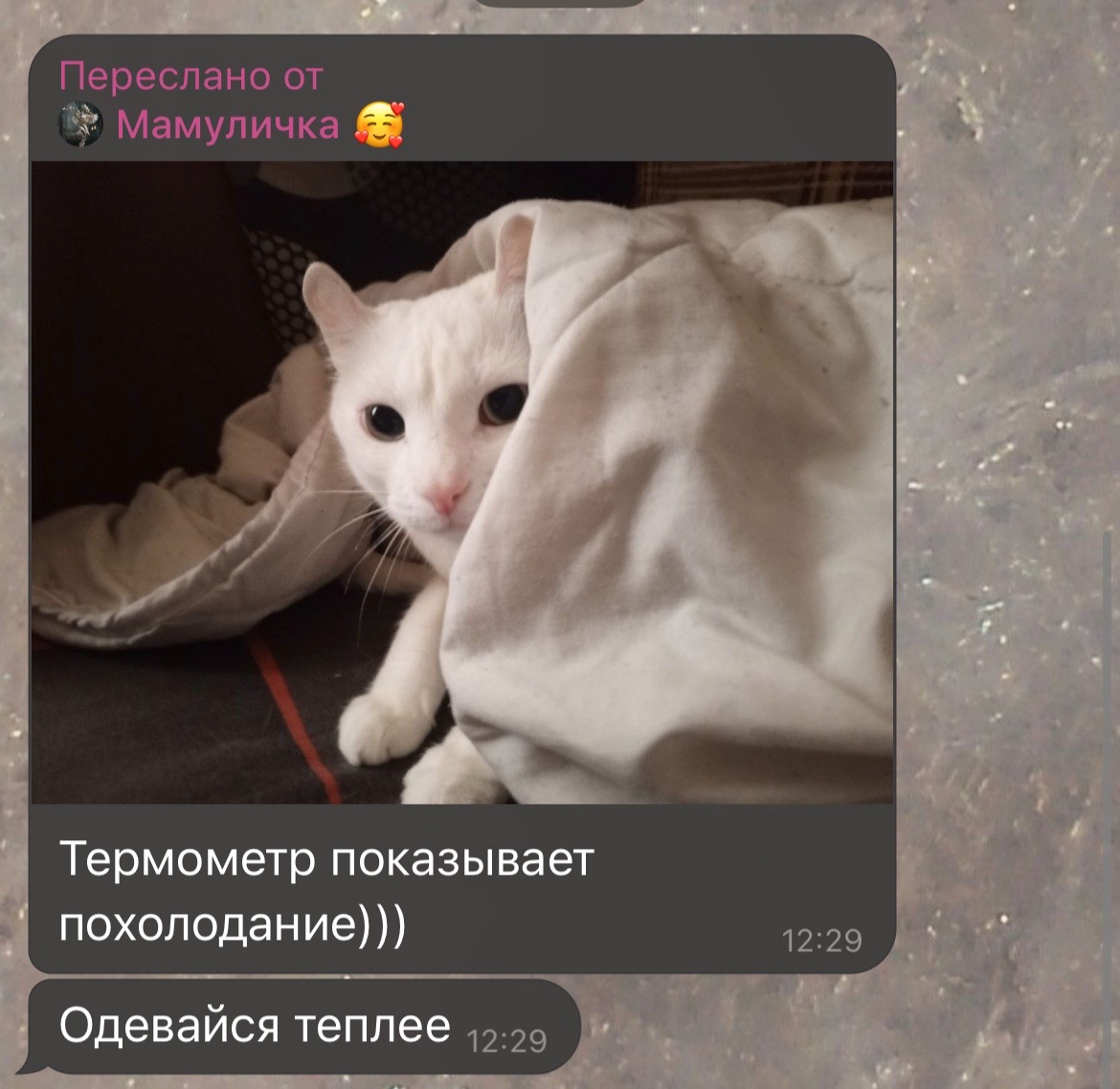 @Чья-то мамка