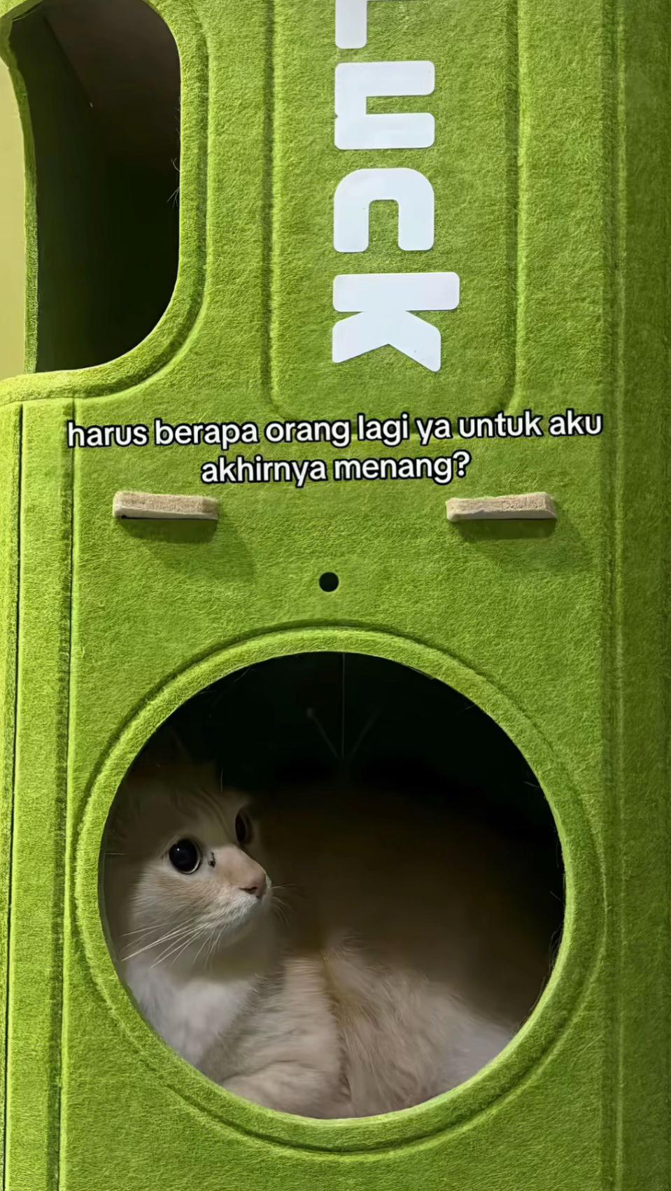 @𝙵𝙰𝙽𝙳𝙾 ✮⋆˙