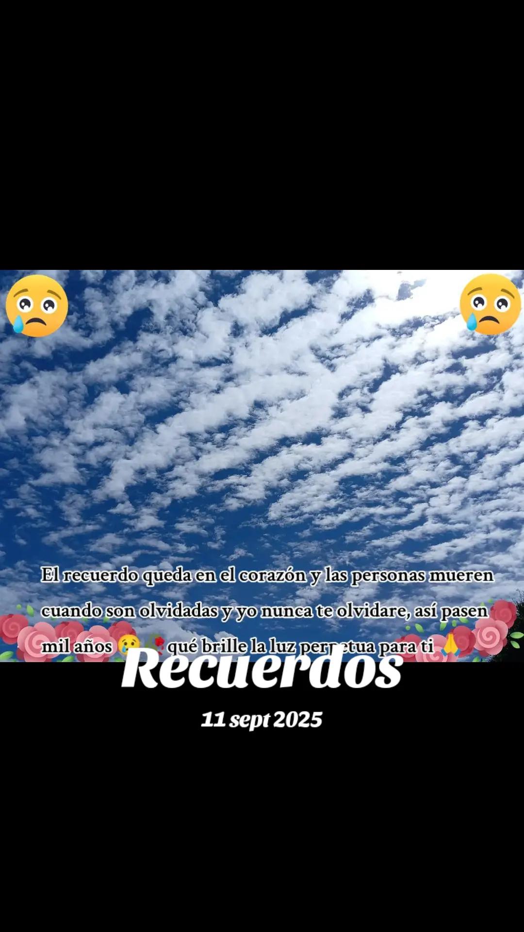 @🎲 Melendrez🇬🇹