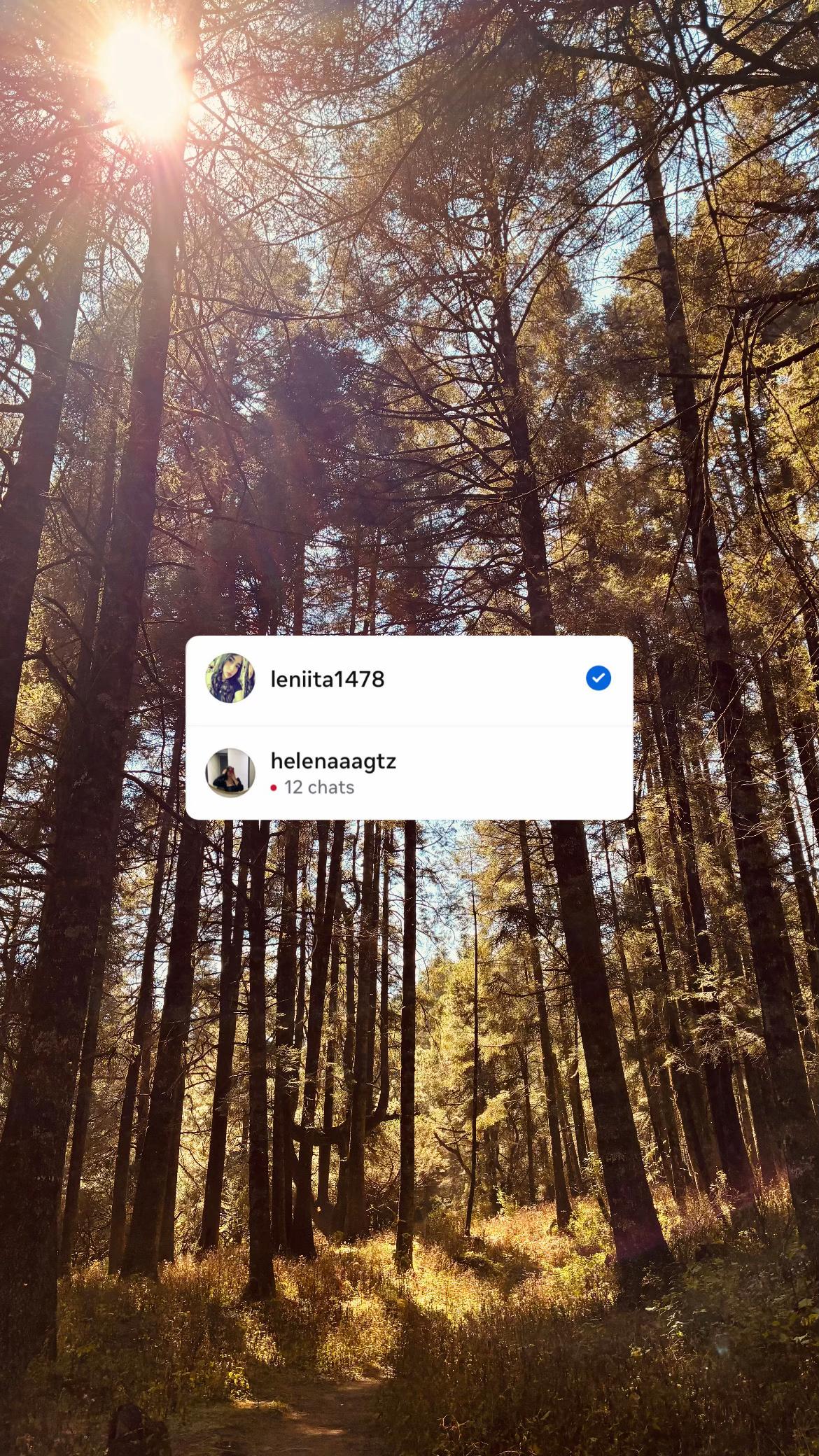 @helenaaagtz