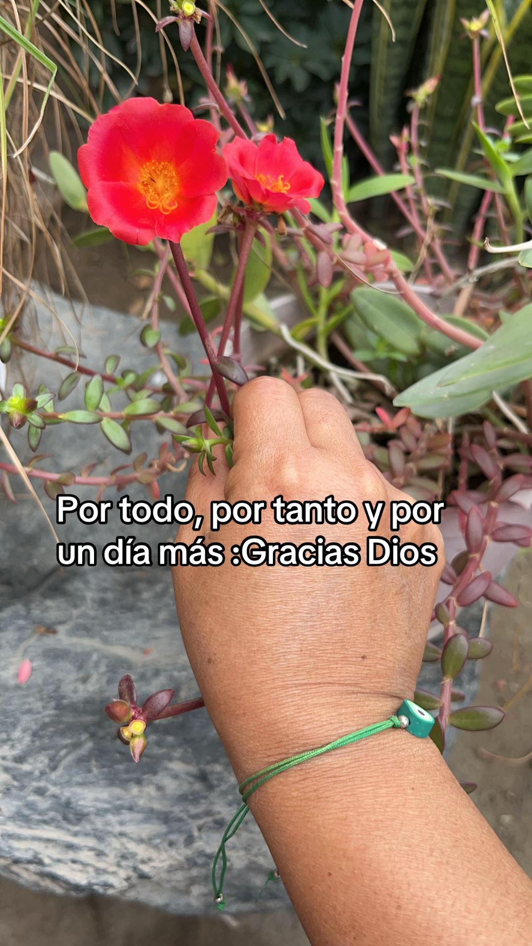 @Susy Martel ✨️