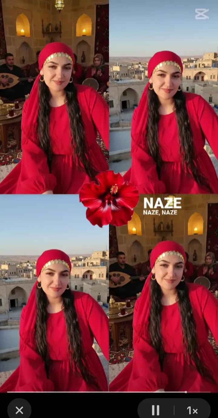 @Fatma Meryem Gulum