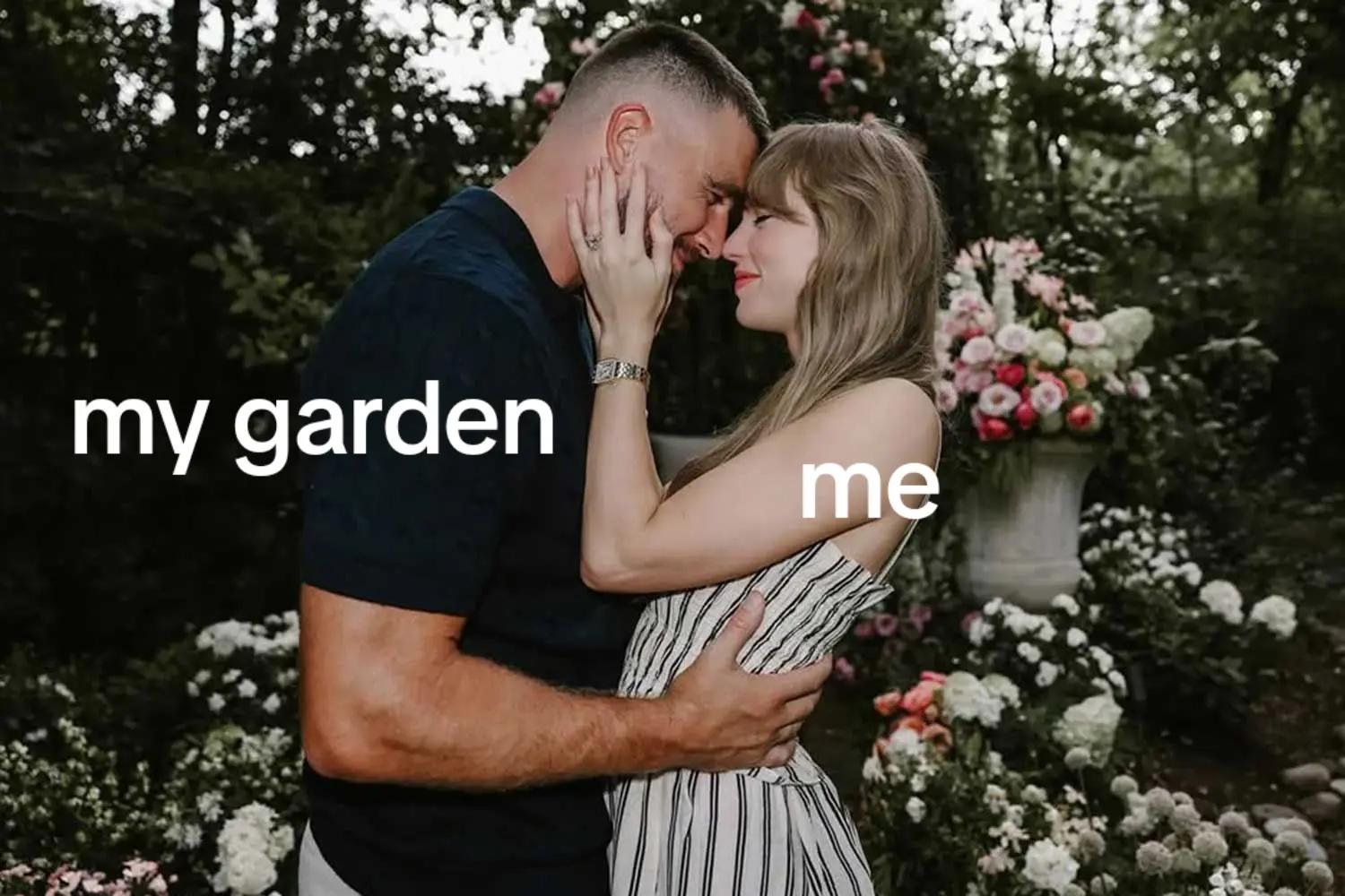 @Seed To Bloom