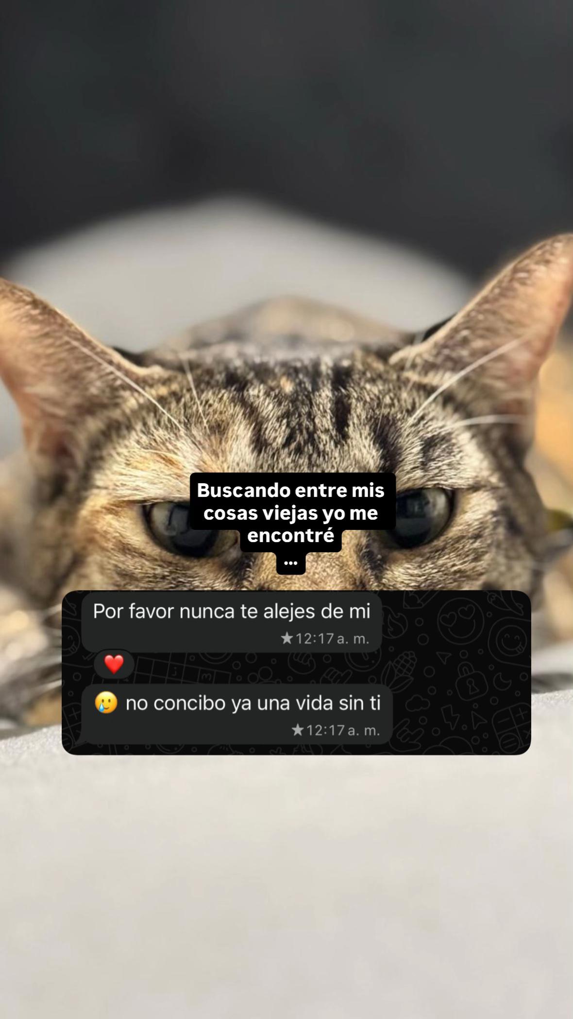 @Sofia Fitch