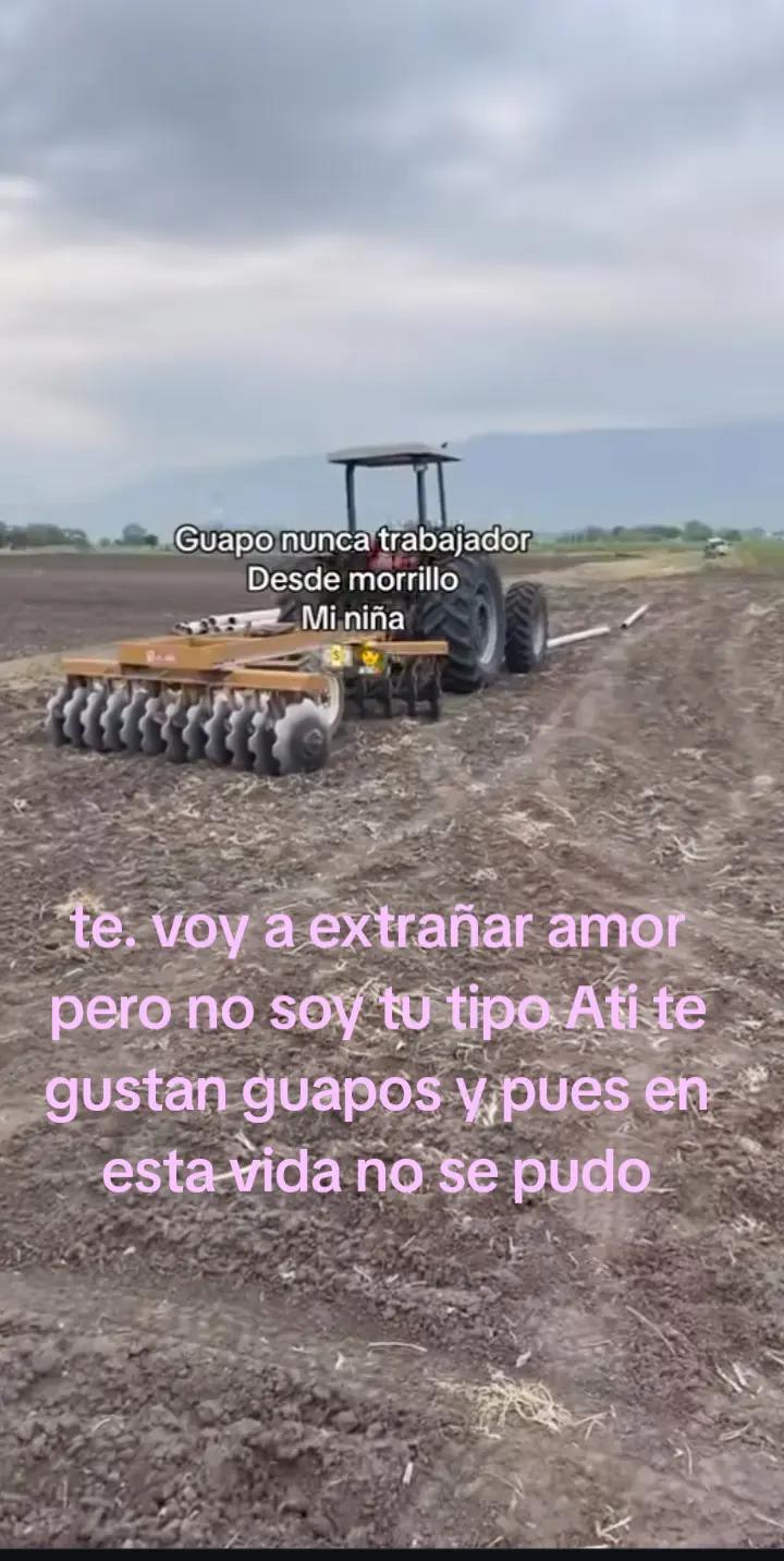@Kevin Alexander