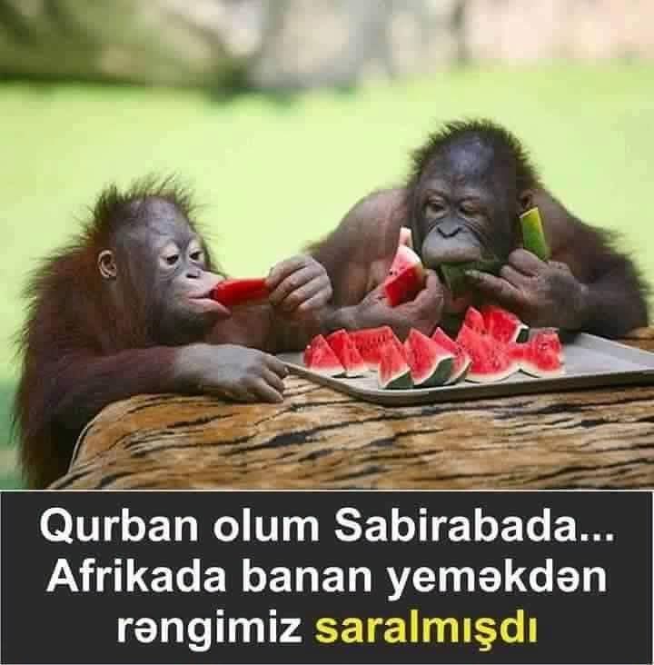 @🇦🇿🦂İMPERATOR♒♣️♠️