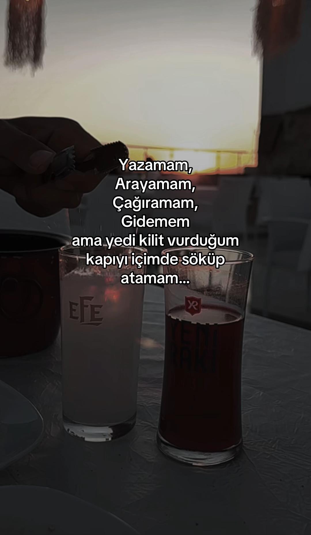 @seviyorgibiydin24