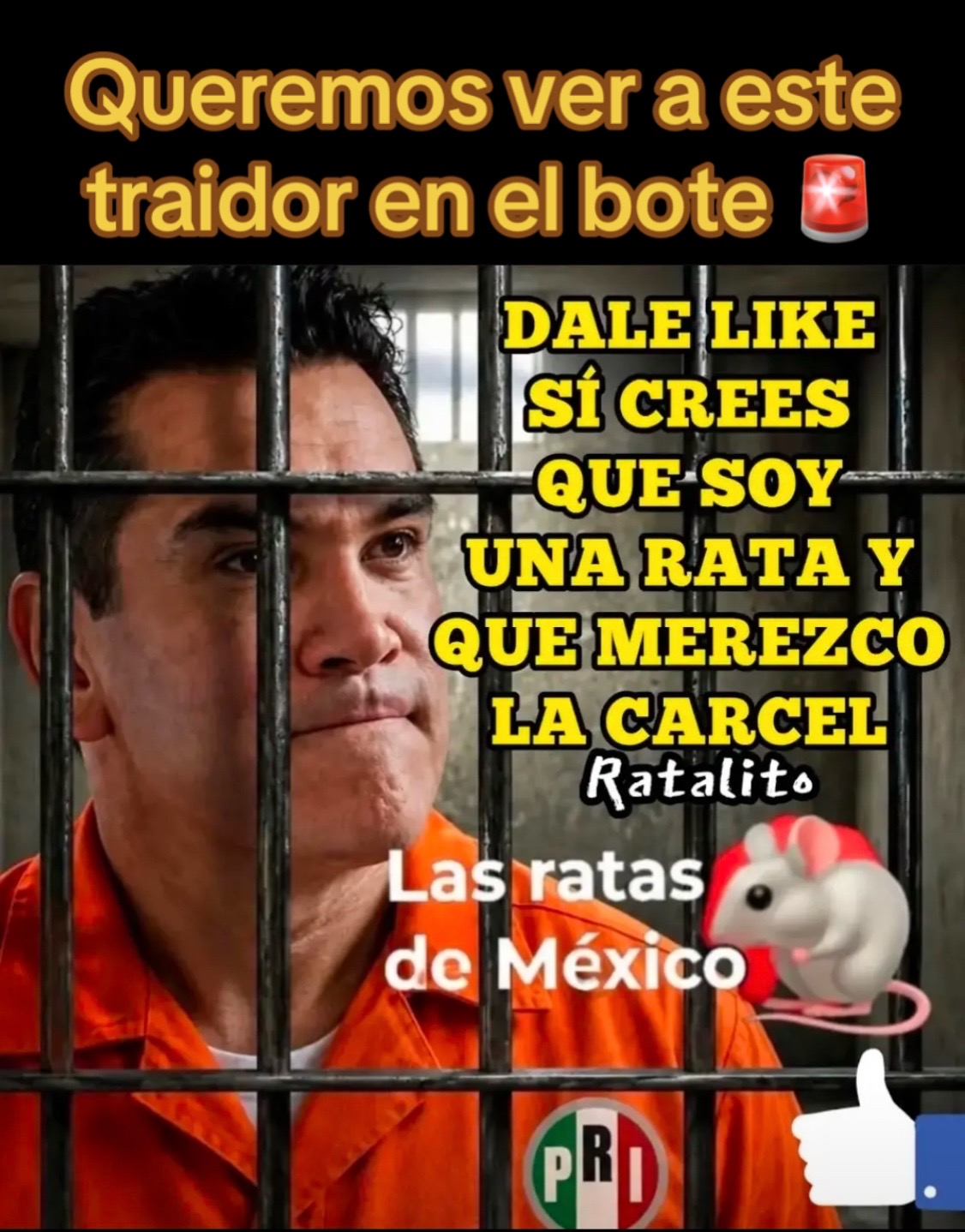 @Reporte-ando