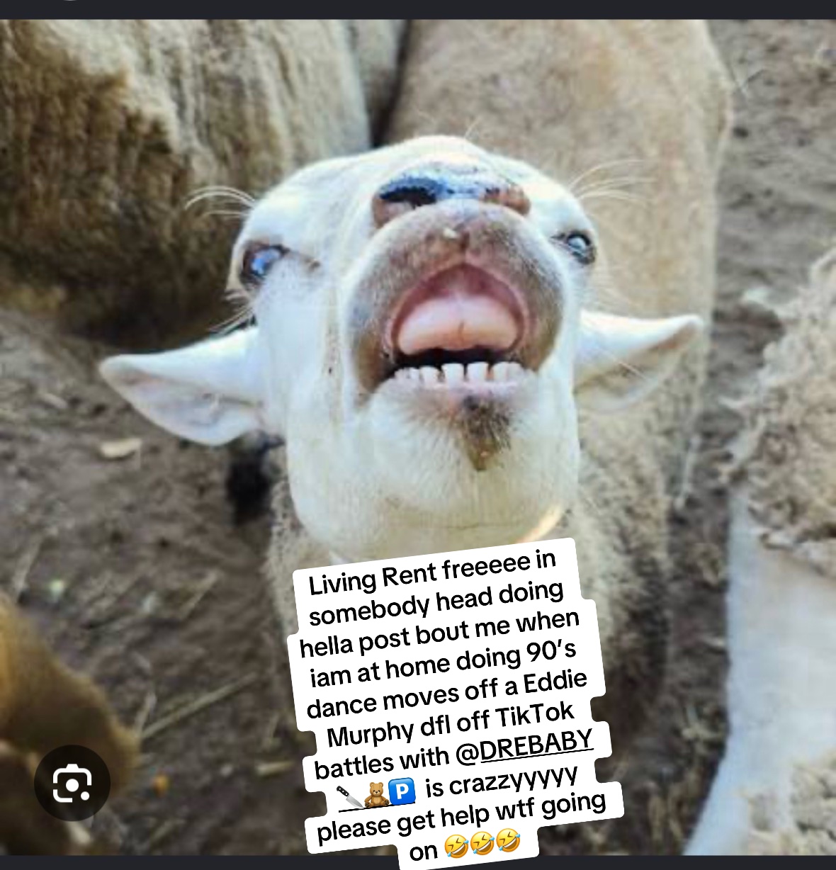 @AmomentWithDanni