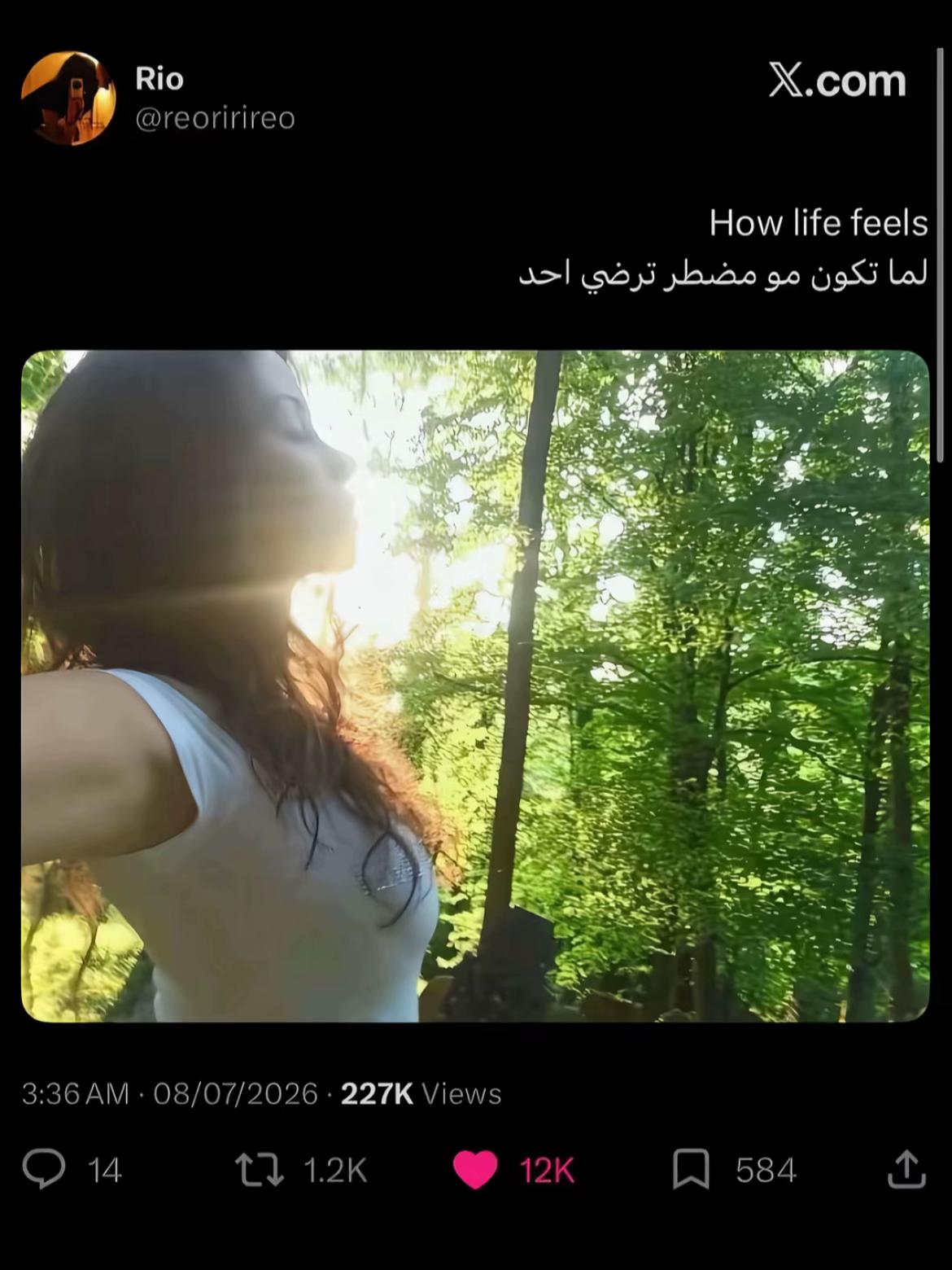 @𝘎