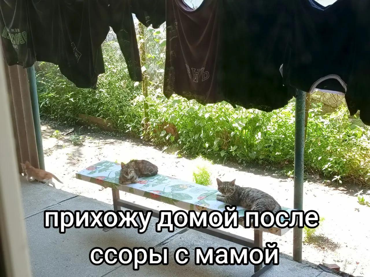 @ксюняша
