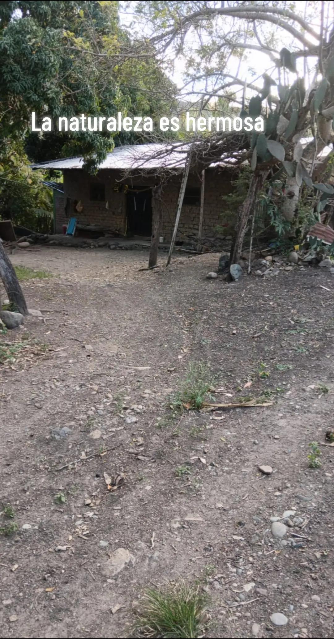 @lazaro RobertoSaavedra Sanchez