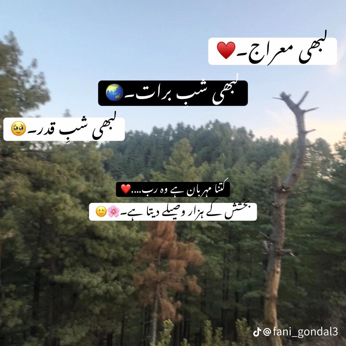 @بھٹی بادشاہ