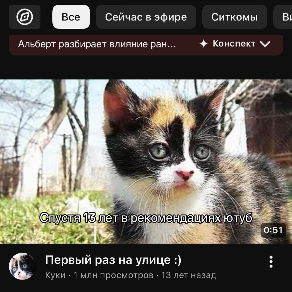 @🌿_ 𝓶𝓪𝓻𝓬𝓮𝓪𝓷𝓴𝓪_🌿