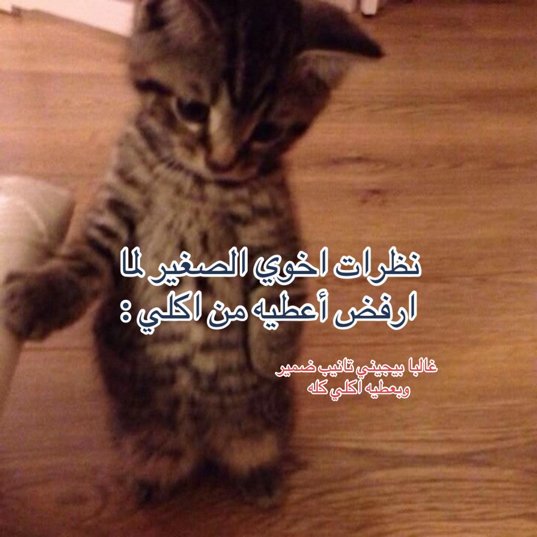 @Repost without music