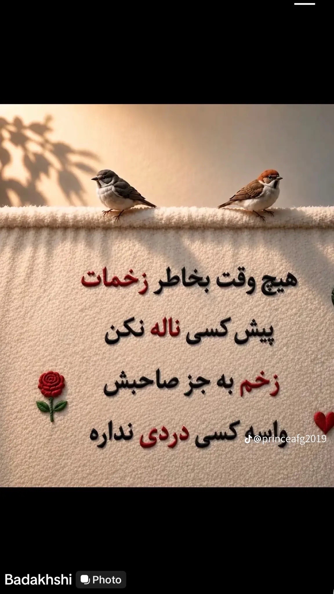 @Aaniss
