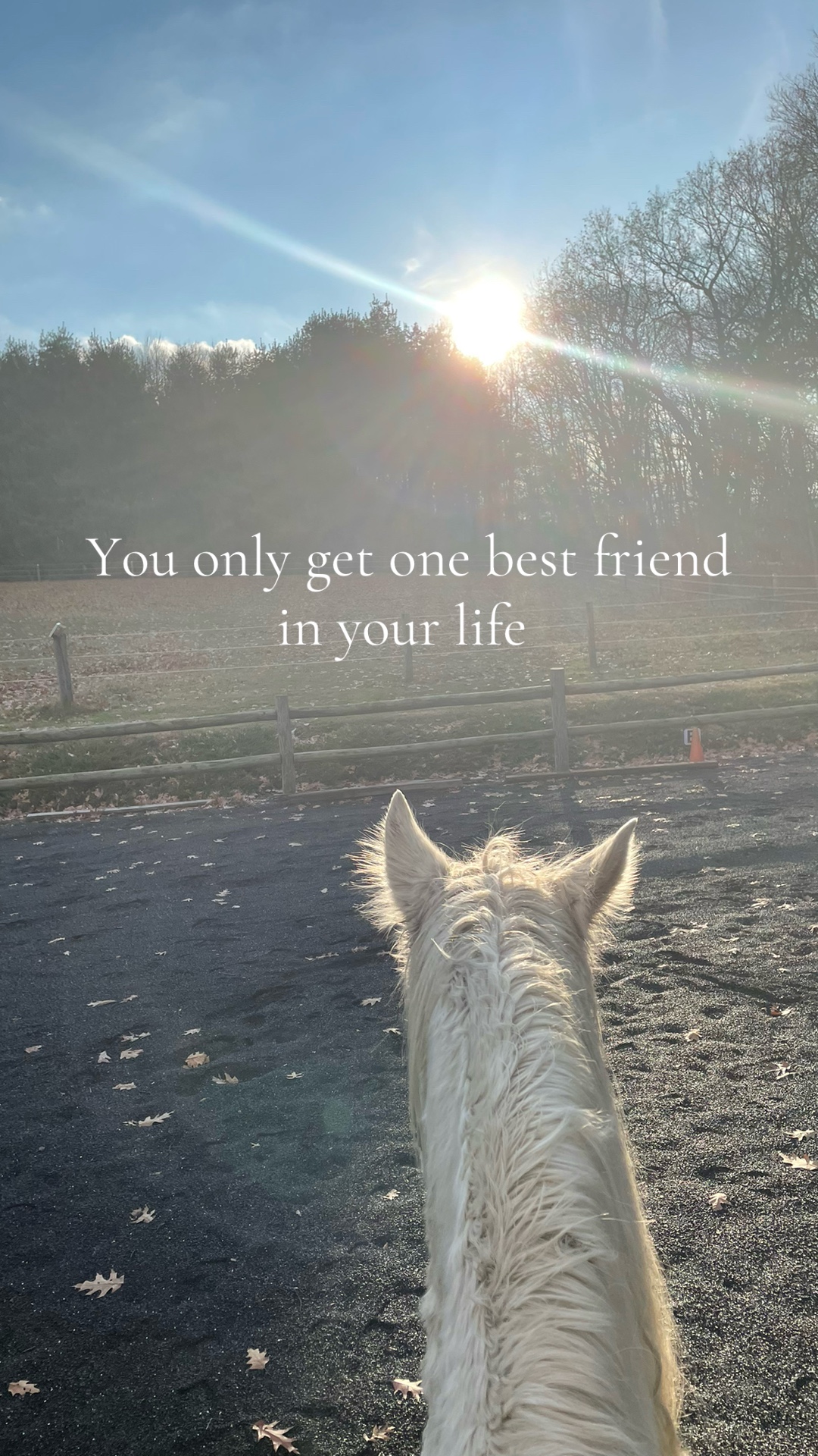 @🛢️⚡️🐴MAKAYLA🐴⚡️🛢️