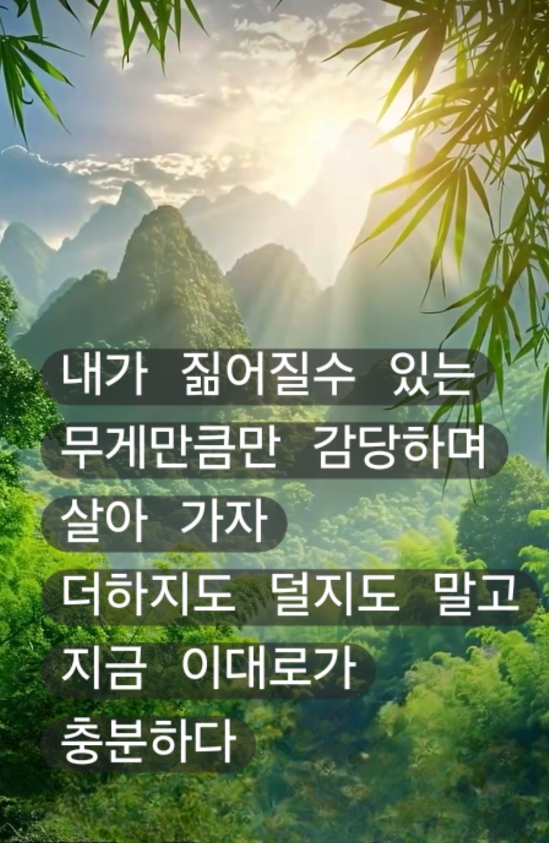 @자유로운 영혼