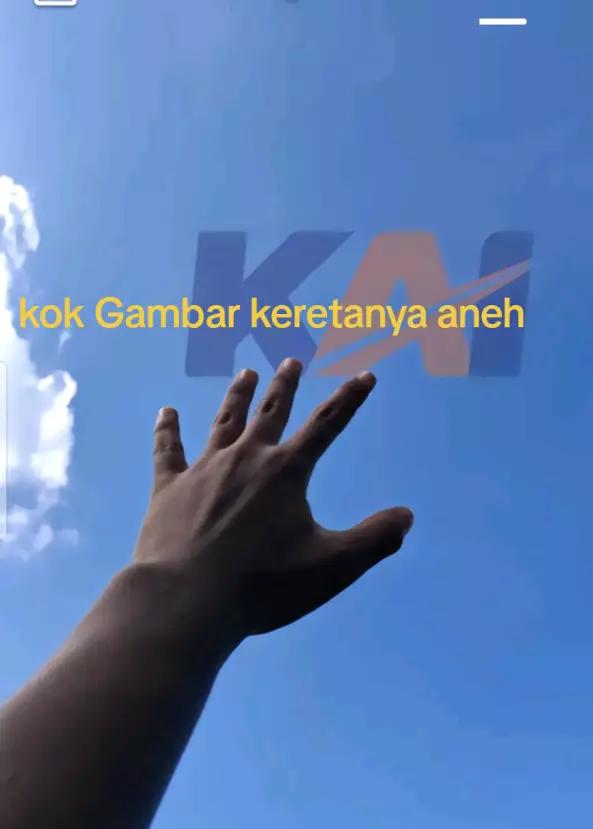 @celqnacowk