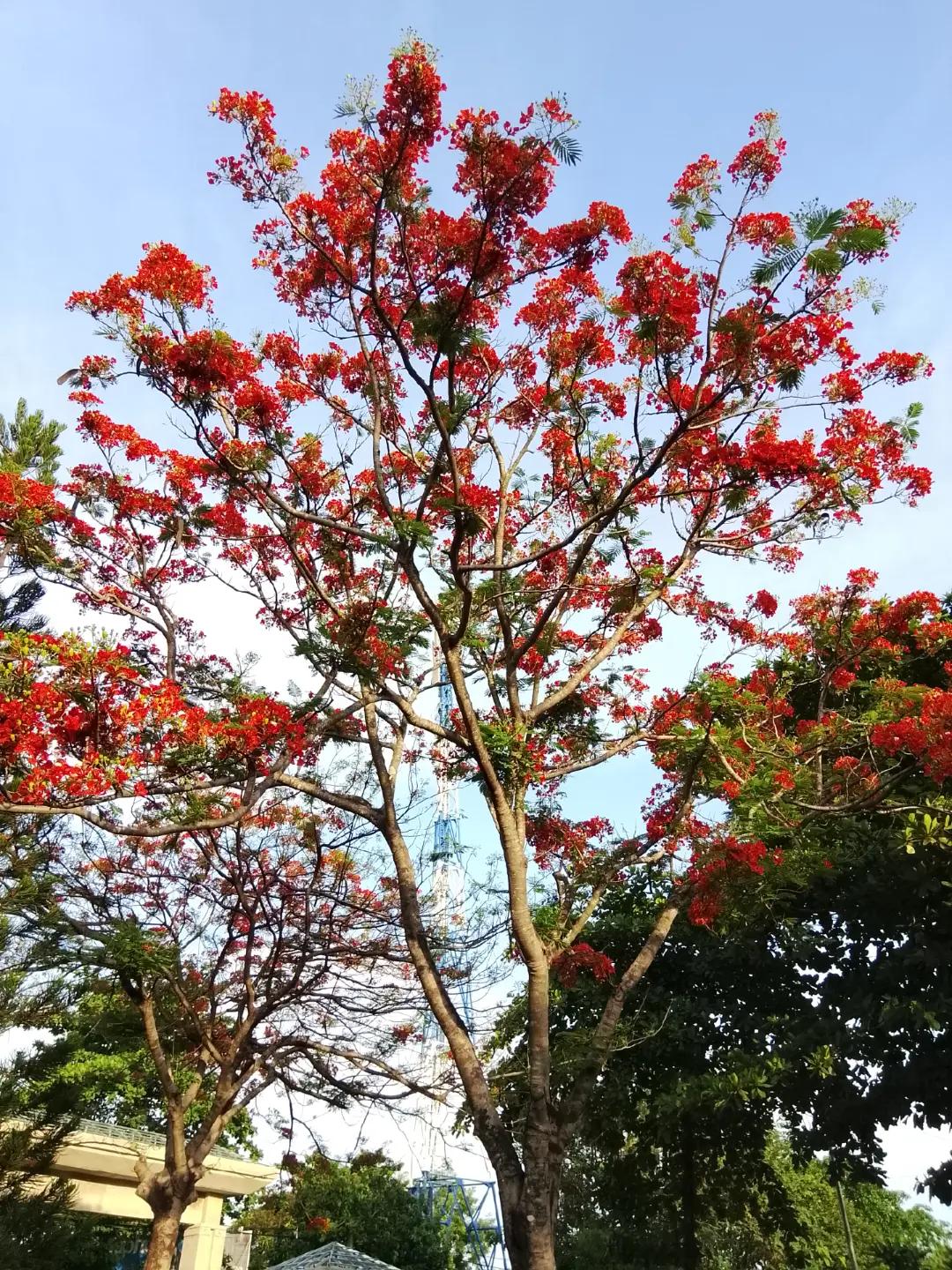 @Linh - Kim Kh&iacute; Điện M&aacute;y