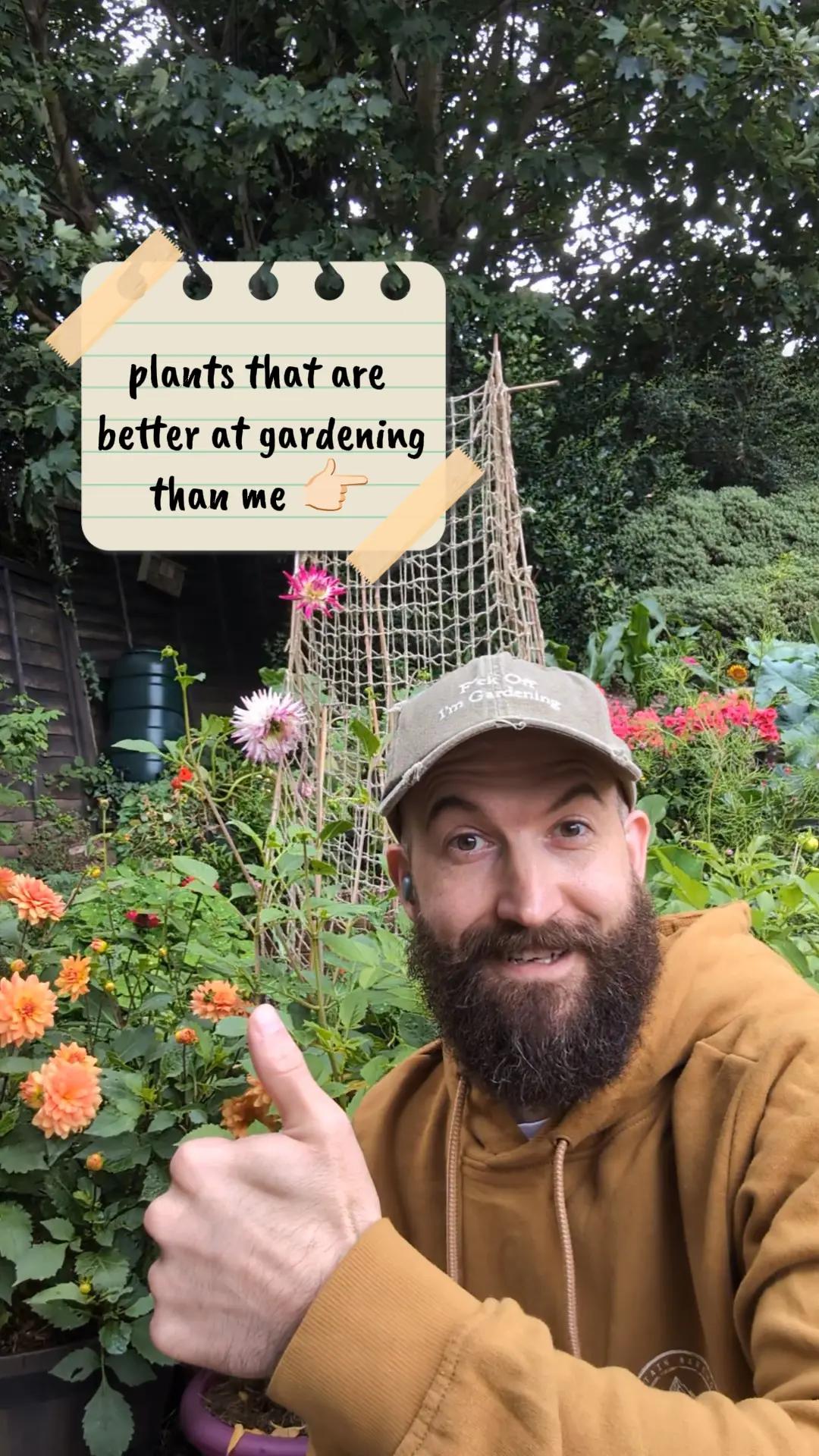 @Steady Going Gardener 🌸🌿