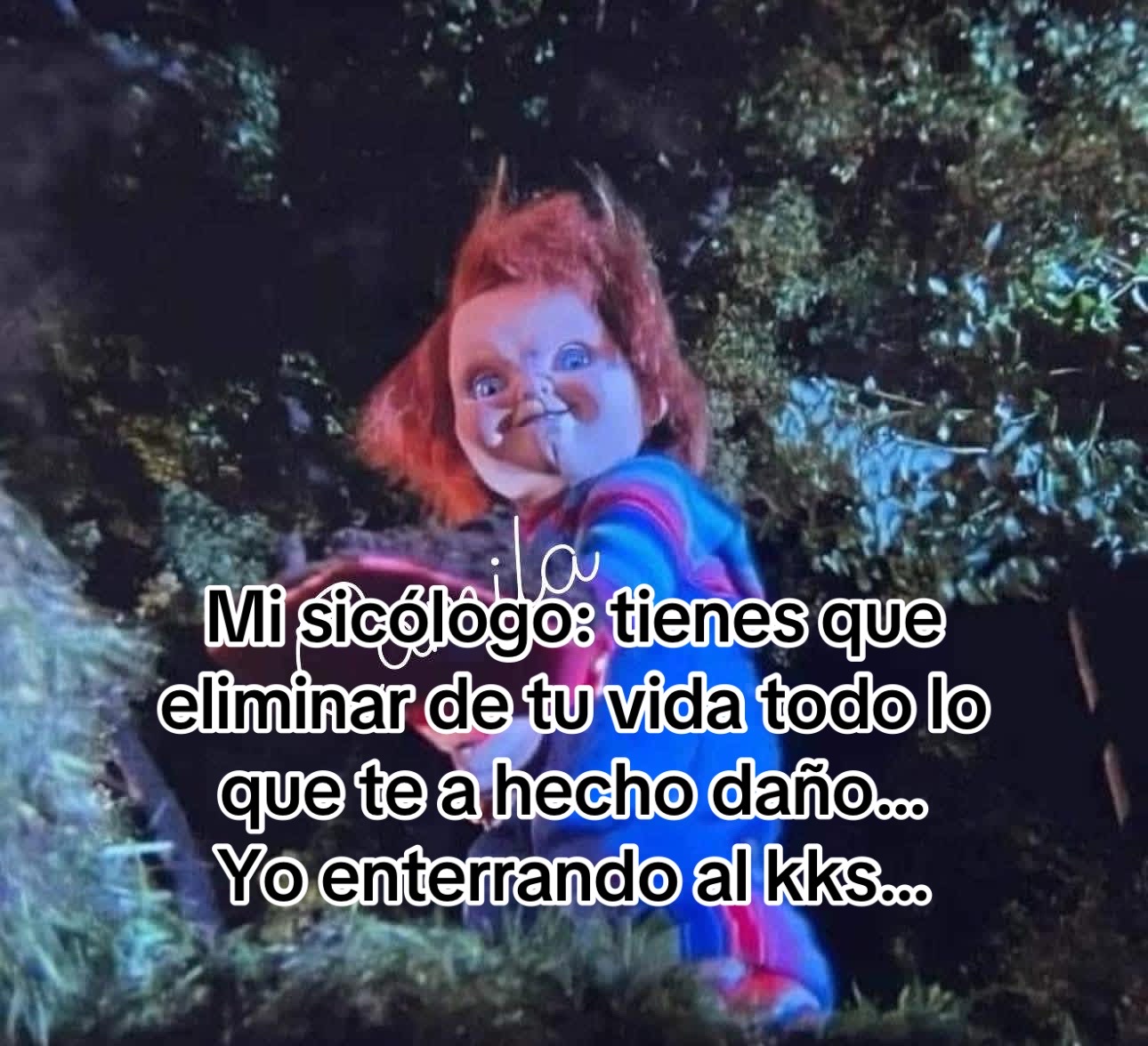 @Sarai