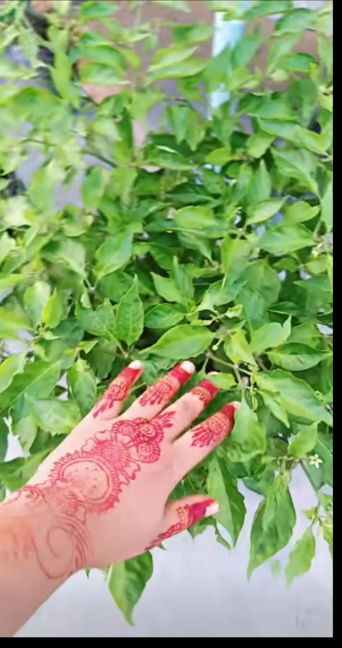 @🇧🇩🤲&trade;&reg;💫তানাজুল ইসলাম🤲🇦🇪