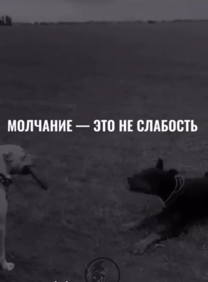 @булочка)