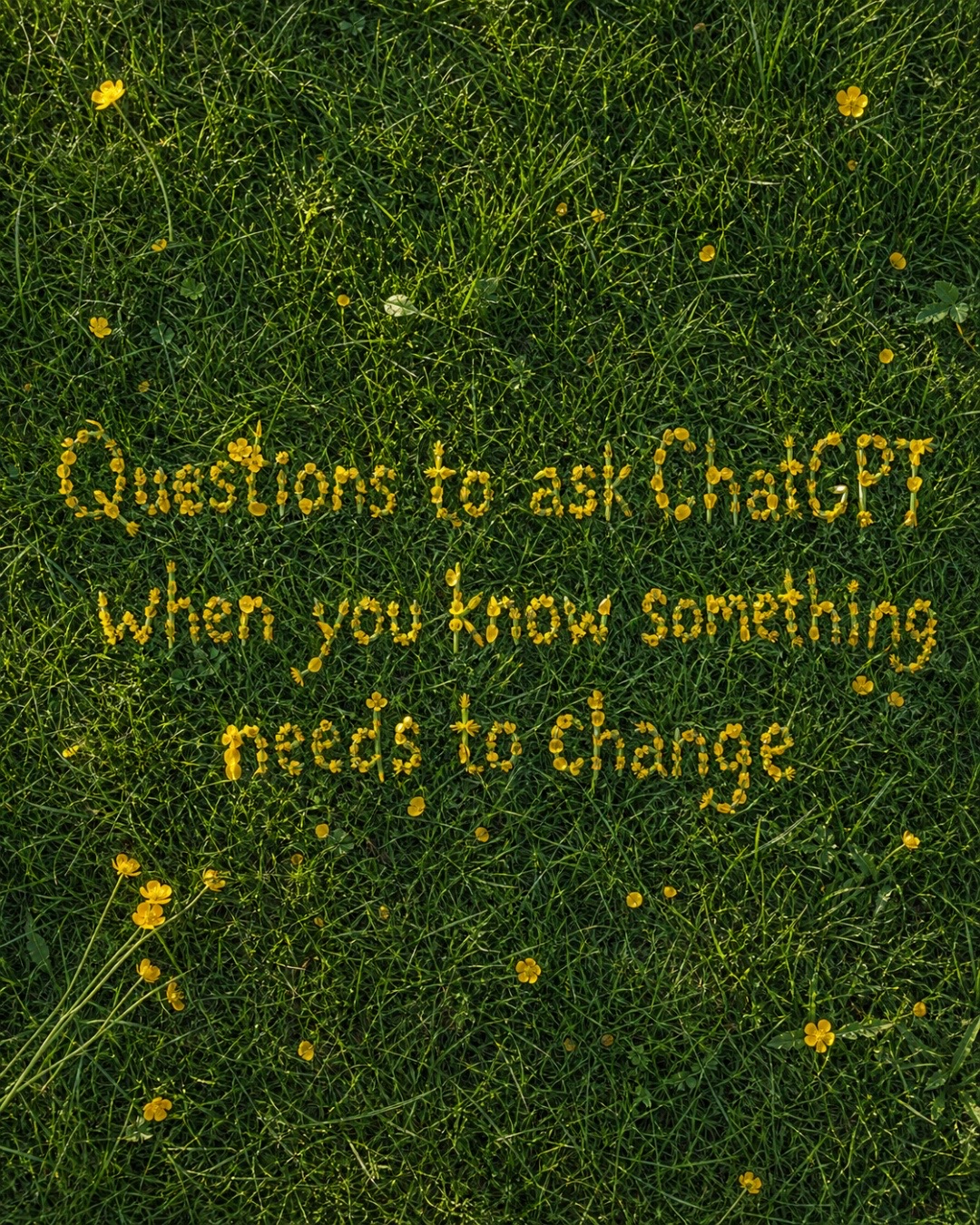 @ChatGPT