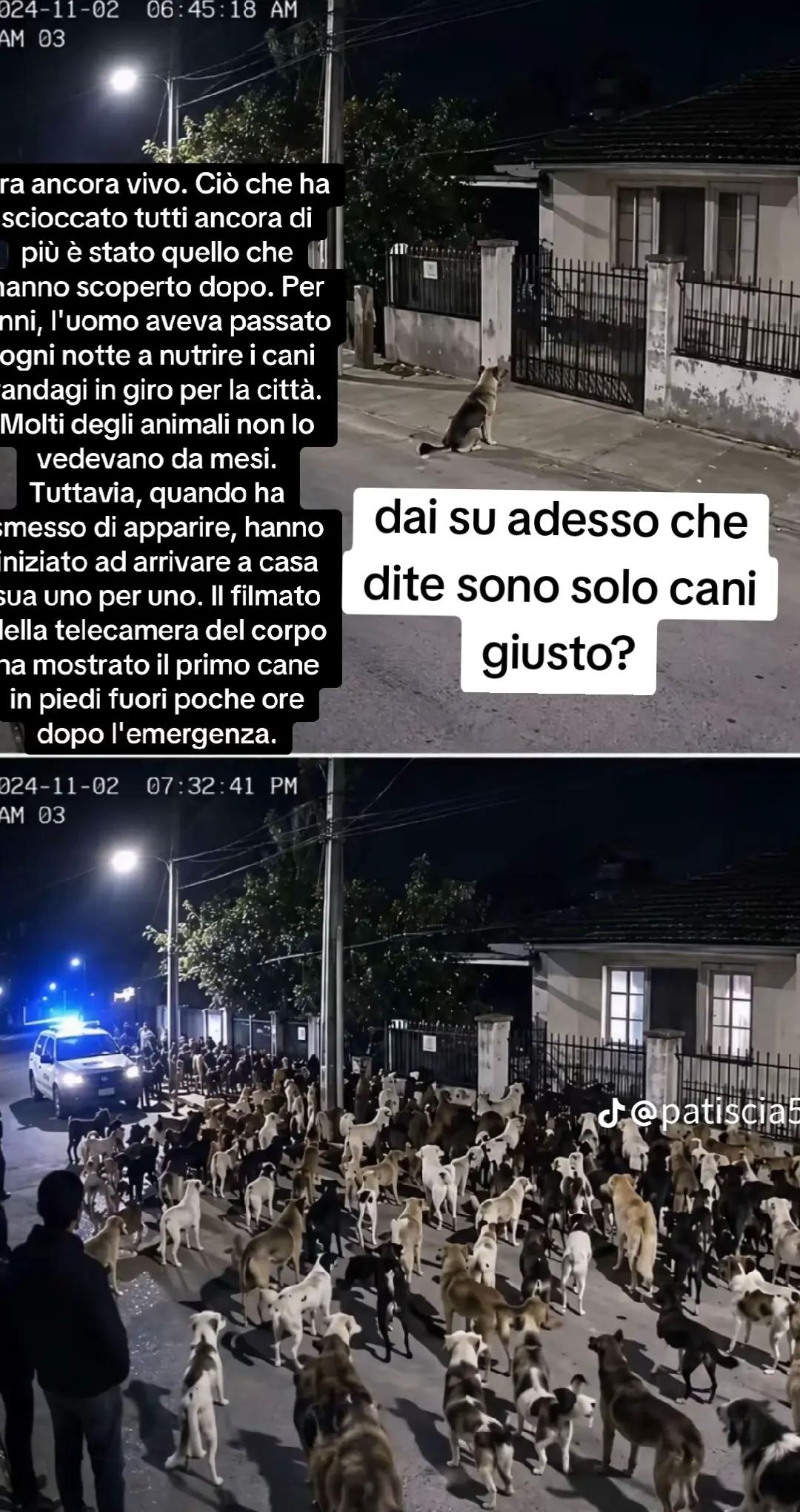 @ciropugliese379
