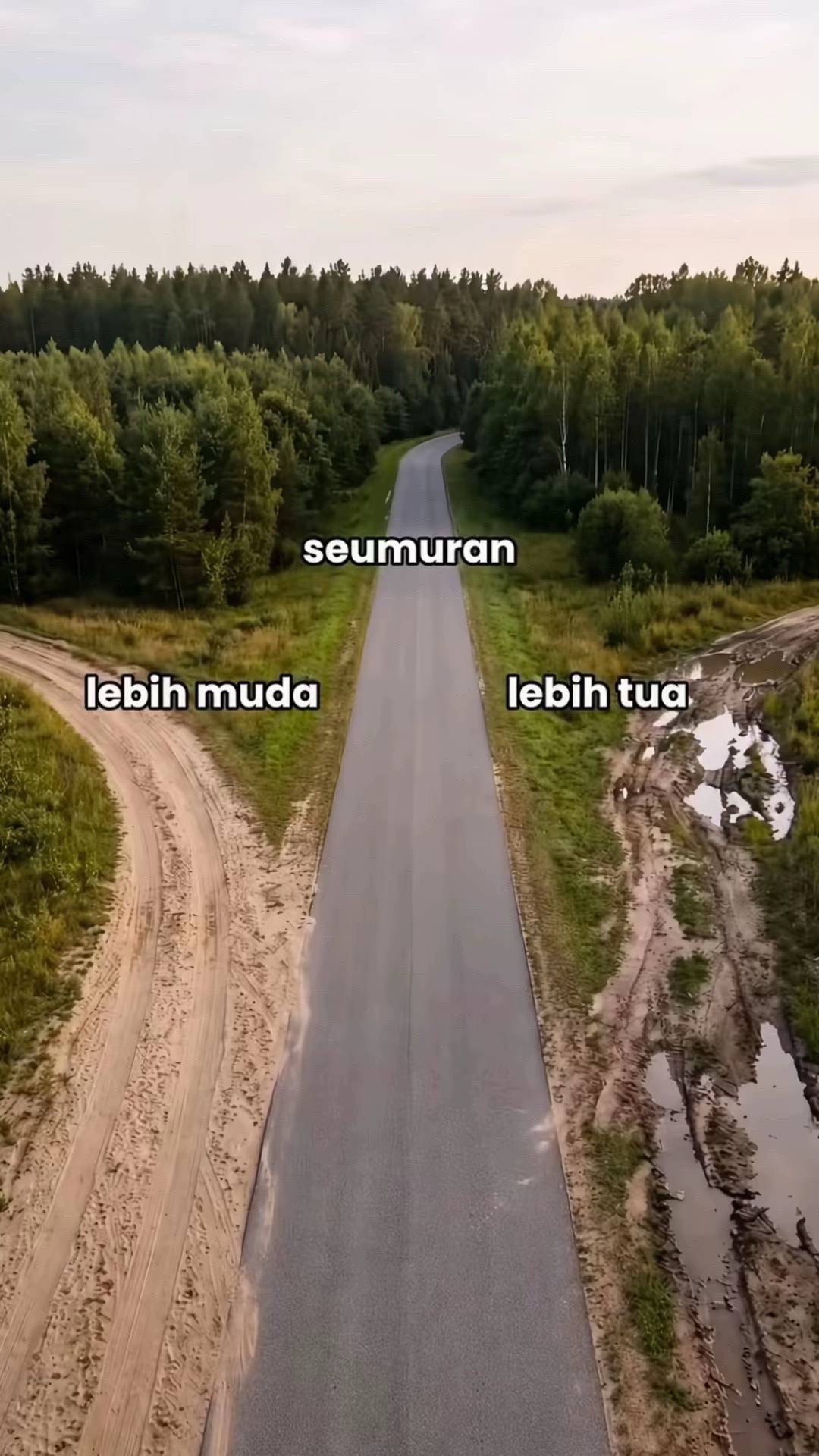 @𝓐𝓶𝔂𓆩♡𓆪༉