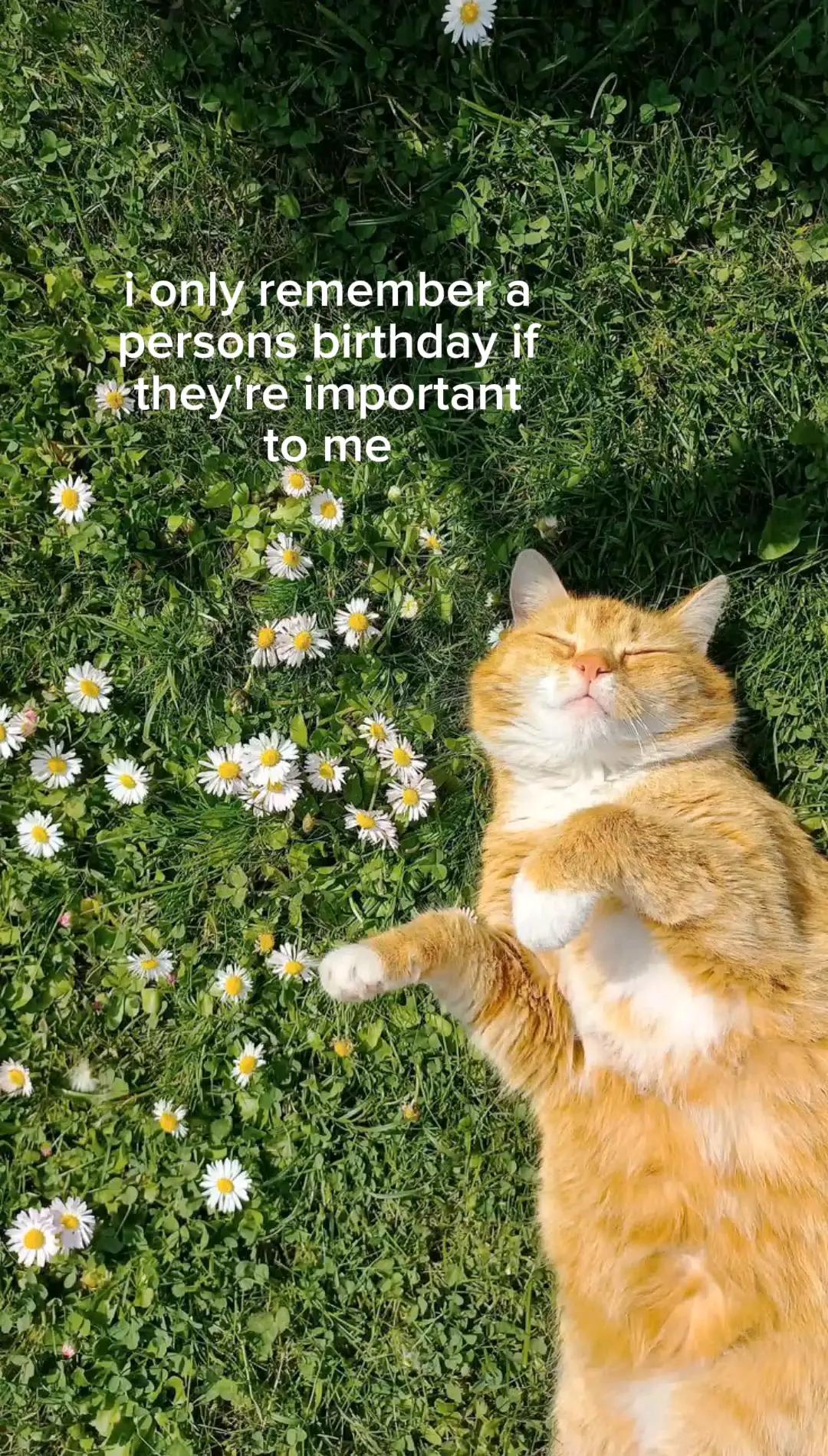 @hamseung🐹