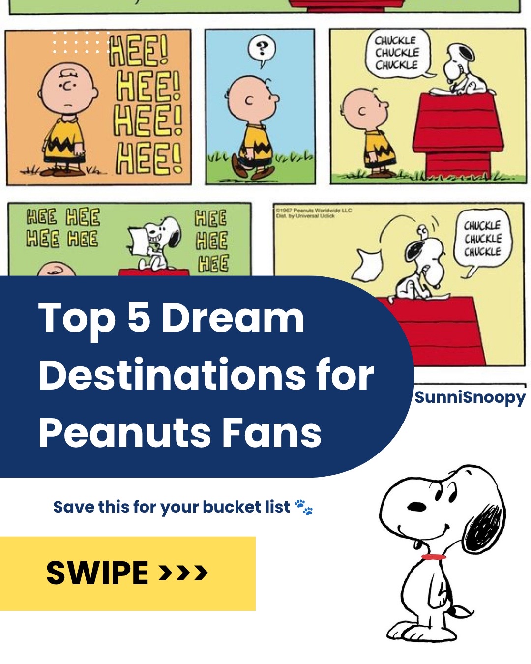 @SunniSnoopy | PEANUTS