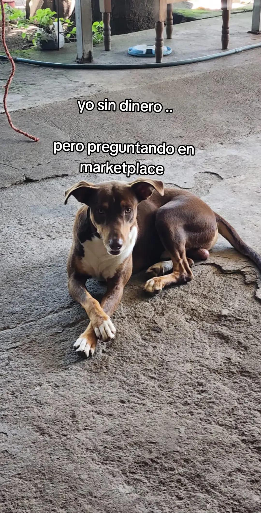 @Garcíaa....