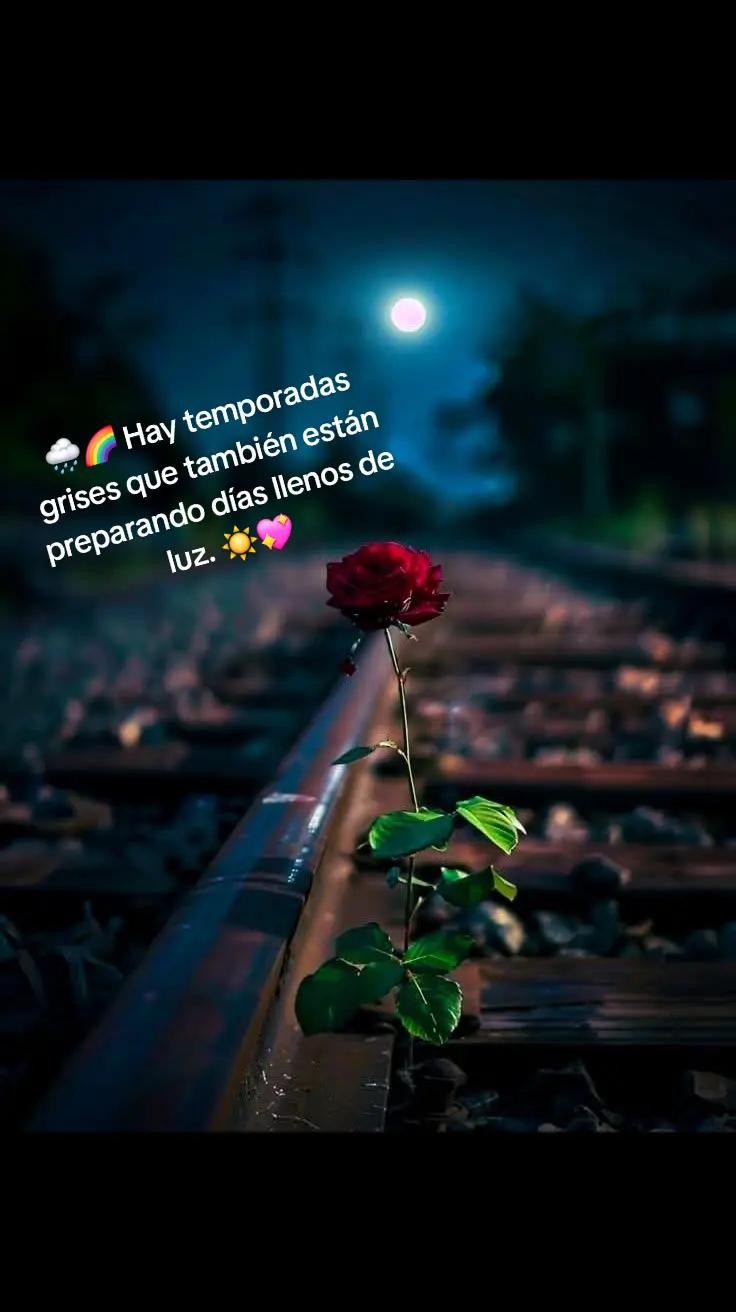@jenny