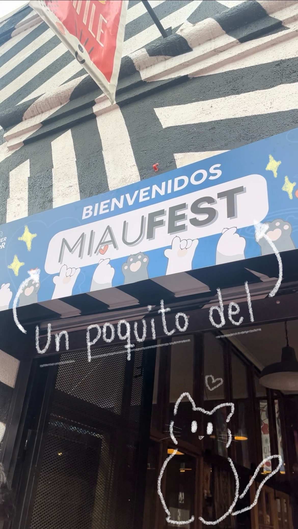 @❛ Margarita ༉‧₊˚