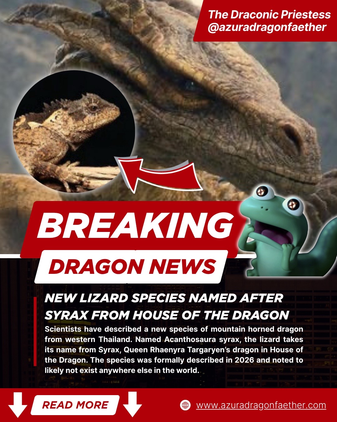 @The Draconic Priestess 🐉