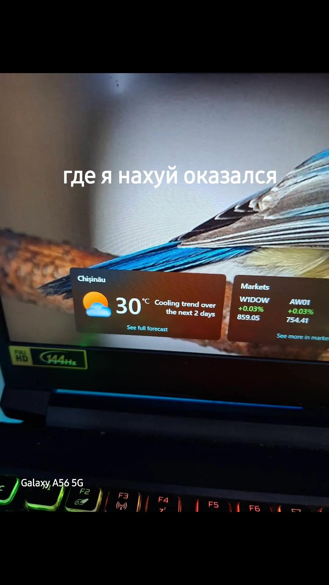 @UTC|DTC|санс🩵