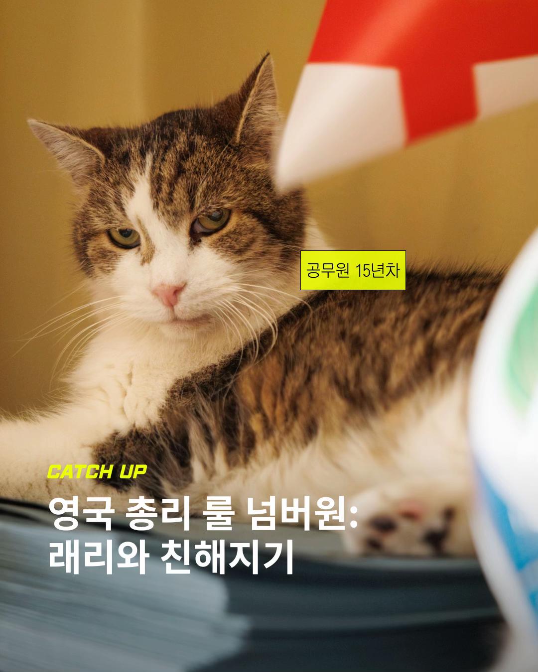 @이슈&트렌드 | 케찹
